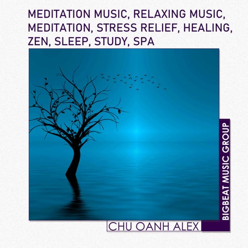Meditation Music, Relaxing Music, Meditation, Stress Relief, Healing, Zen, Sleep, Study, Spa