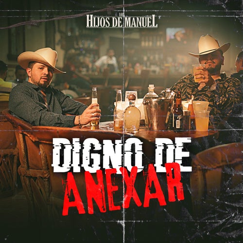 Digno de Anexar