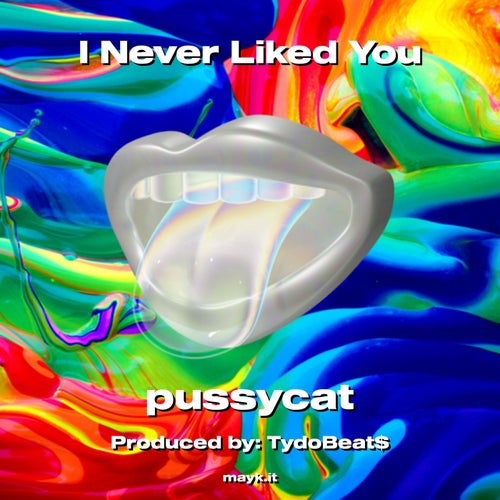 I Never Liked You