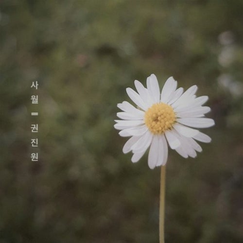 April Blossom
