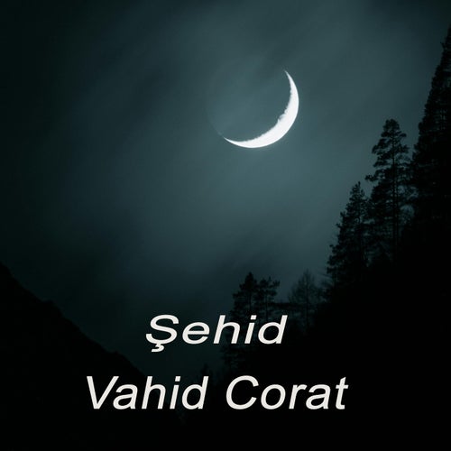 Şehid