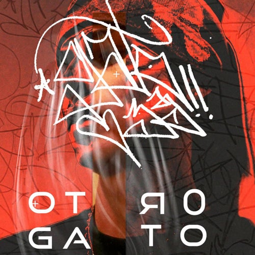 Otro Gato
