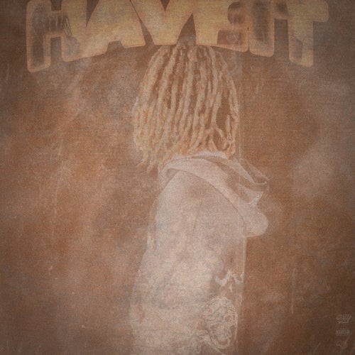 haveit (feat. yk5wtf)