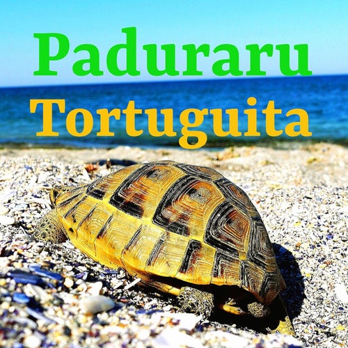 Tortuguita
