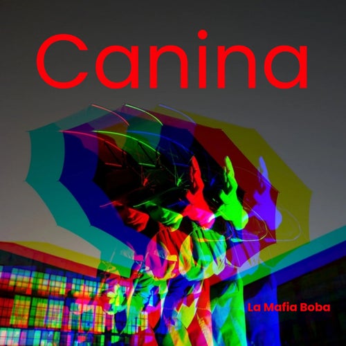 CANINA