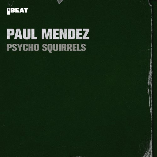 Psycho Squirrels