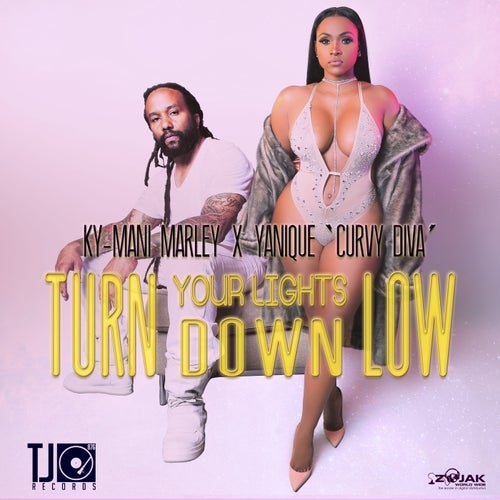 Turn Your Lights Down Low - Single