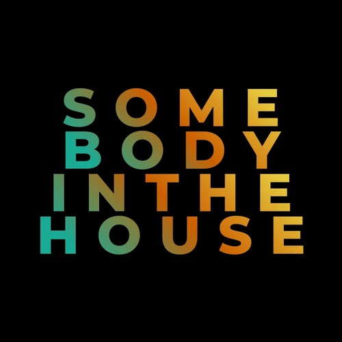 Somebody in the House  (Original Mix)