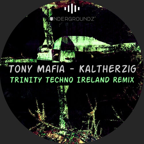 Kaltherzig (TRINITY TECHNO IRELAND Remix)