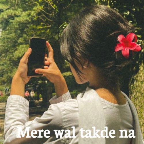 Mere wal takde na