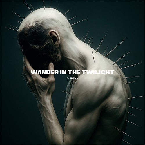 Wander In The Twilight
