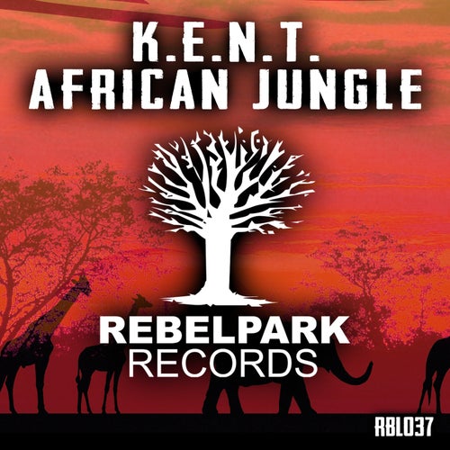Release of the week