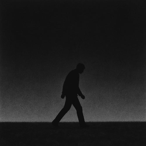 Lonely Penguin (L'Amour Toujours)