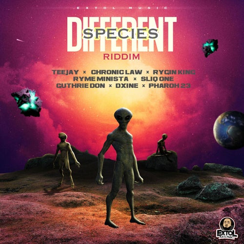 Different Species Riddim