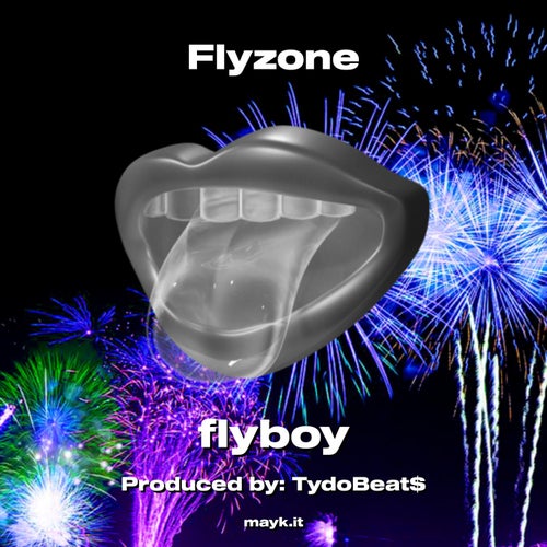 Flyzone