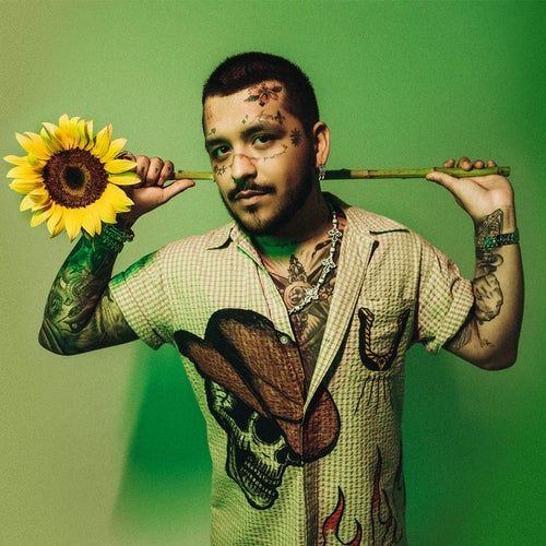 Christian Nodal Profile