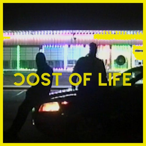 Cost of Life