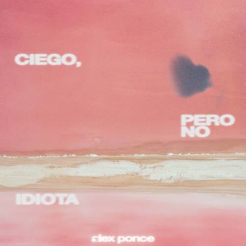 Ciego, Pero No Idiota