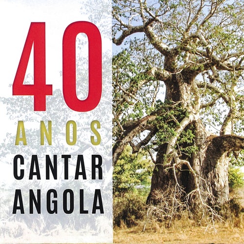 40 anos a cantar Angola