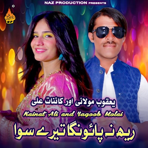 Reh Na Paonga Tere Bina