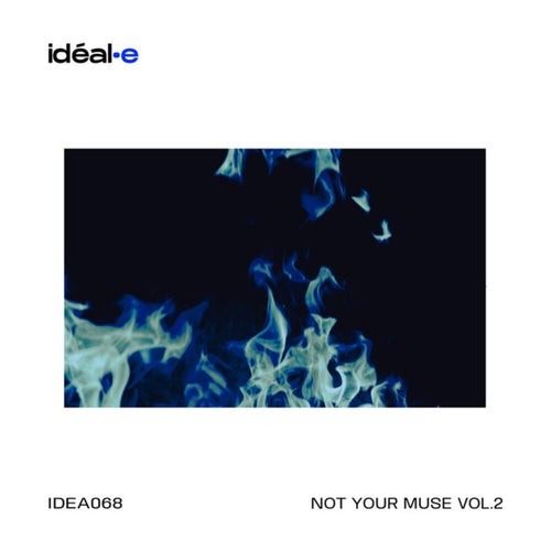 Not Your Muse Vol.2