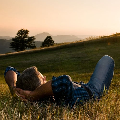 Fredelig Guitar I Naturen