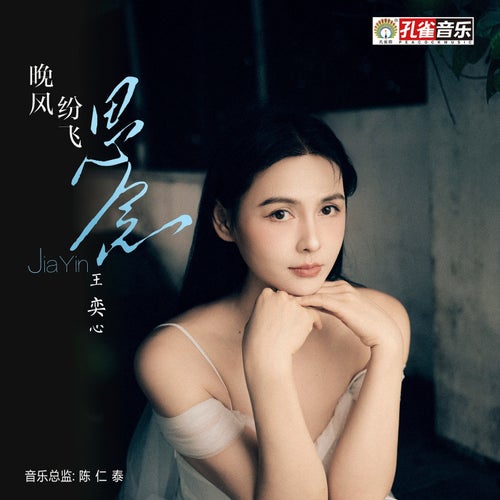 晚風紛飛思念