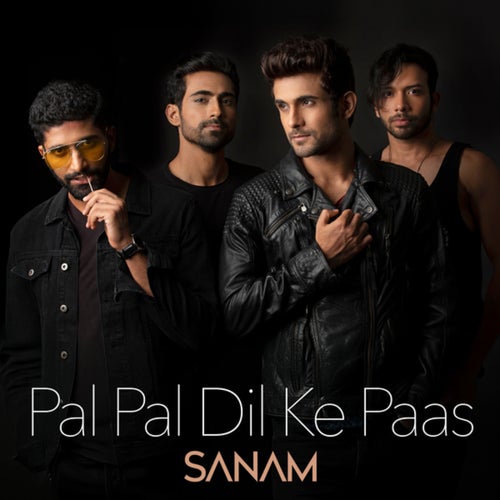 Pal Pal Dil Ke Paas