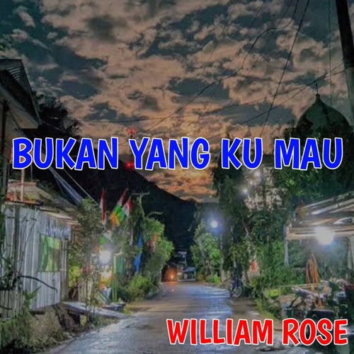 Bukan Yang Ku Mau