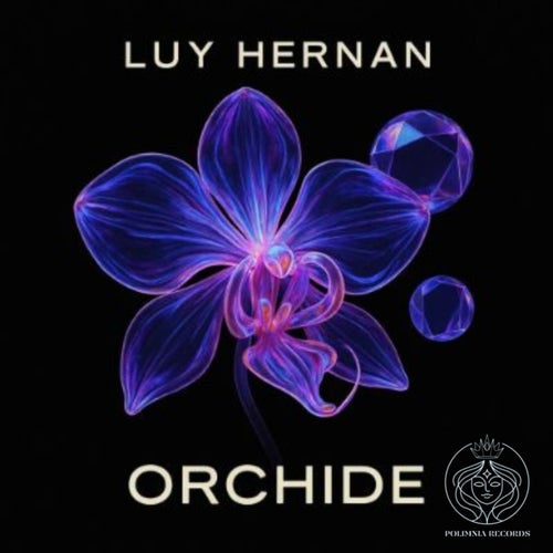 Orchide