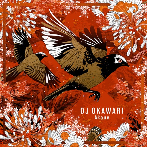 Release of the week