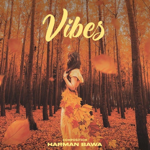 Vibes