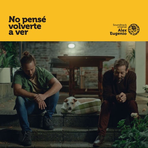 No pensé volverte a ver