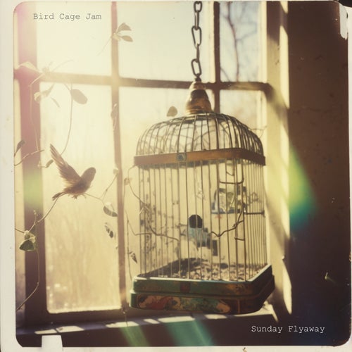 Bird Cage Jam