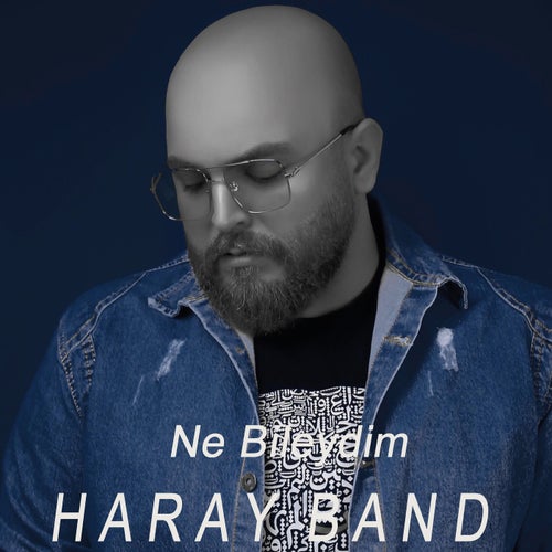 Ne Bileydim