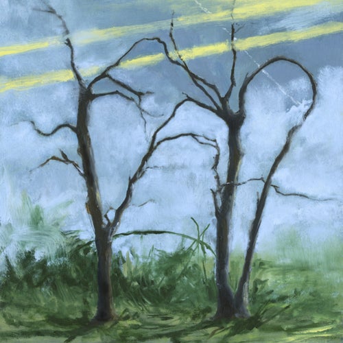 Habit