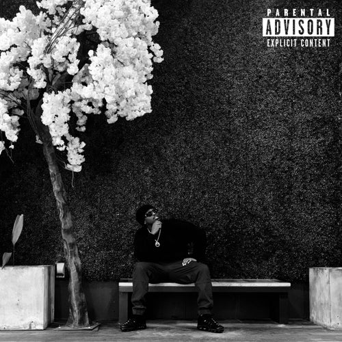 Release of the week