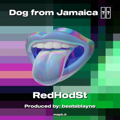 Dog from