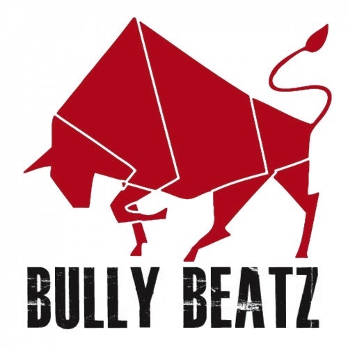 Bully Beatz Profile