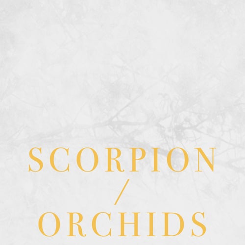 Scorpion/Orchids