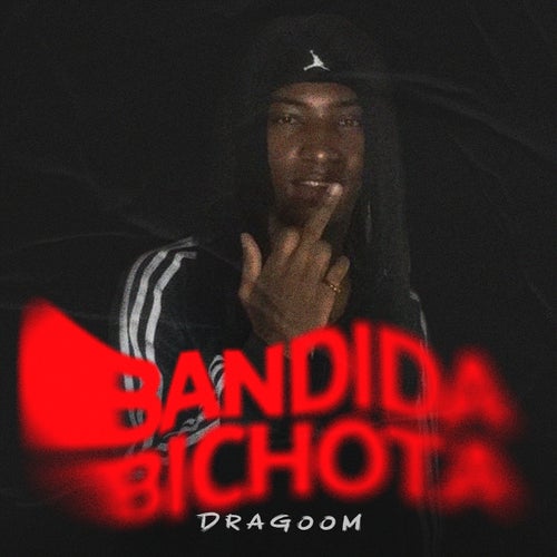 Bandida Bichota