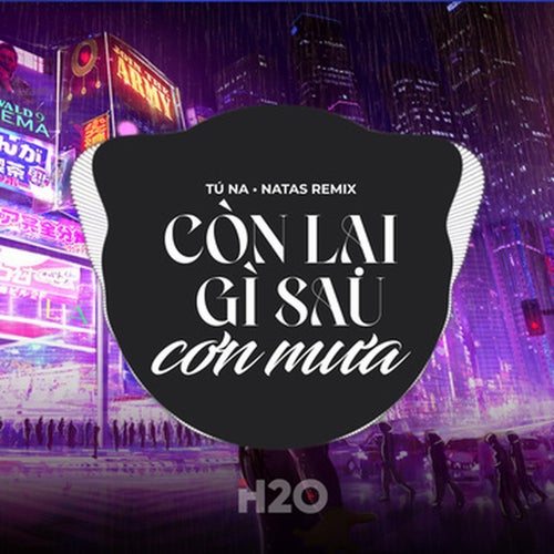Còn Lại Gì Sau Cơn Mưa (EDM)
