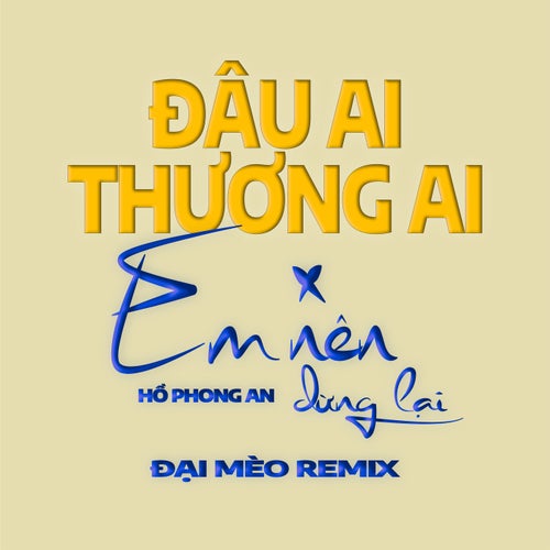 Mashup Đâu Ai Thương Ai x Em Nên Dừng Lại (Đại Mèo Remix)