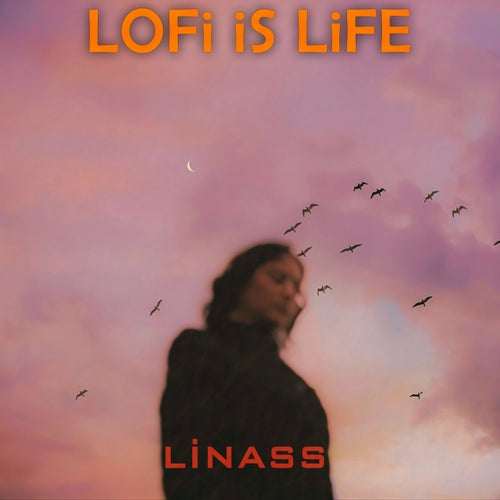 Lofi İs Life