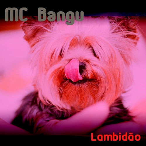 Lambidão