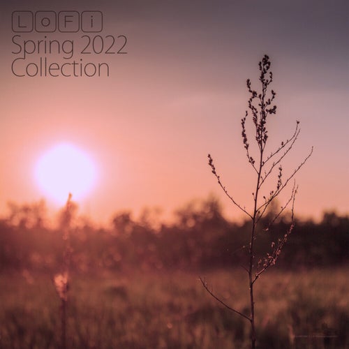 LoFi Spring 2022 Collection (Continuous Mix)