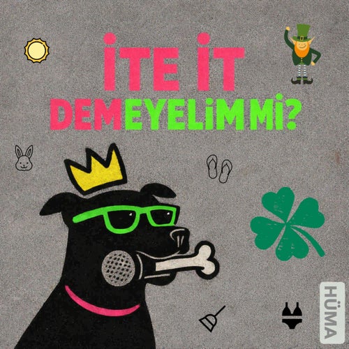 İTE İT DEMEYELİM Mİ?