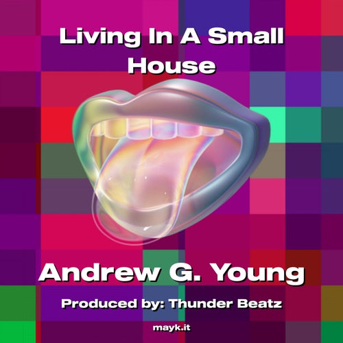Living In A Small House