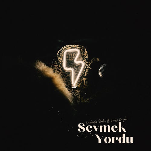 Sevmek Yordu