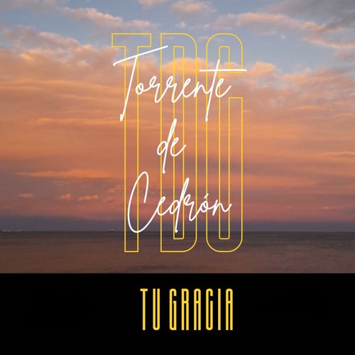Tu gracia